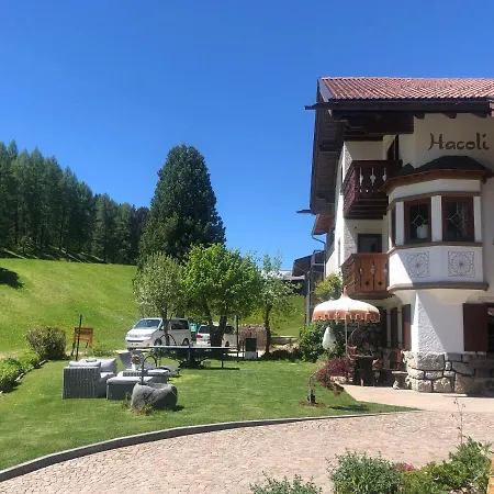 Hacoli Apartment Selva di Val Gardena