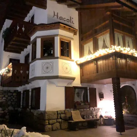 Hacoli Selva di Val Gardena